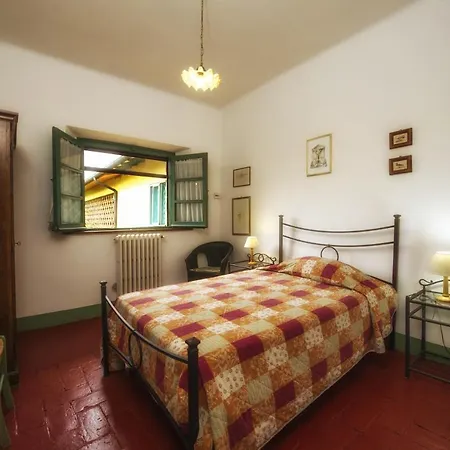 Il Chicco D'oro * Massarosa