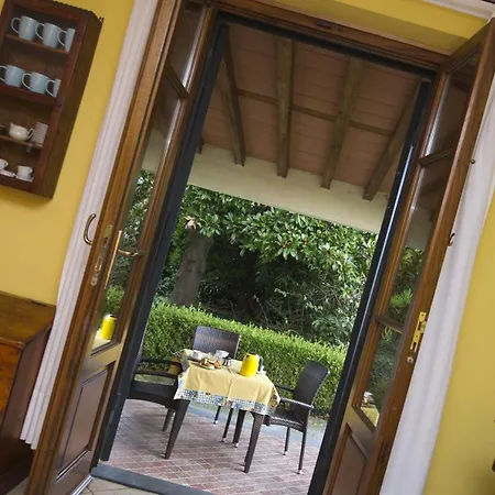 Il Chicco D'oro Massarosa