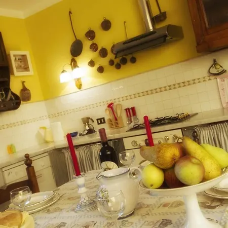 Il Chicco D'oro Massarosa