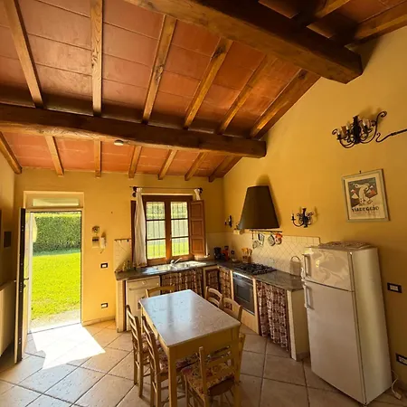 Il Chicco D'oro Massarosa
