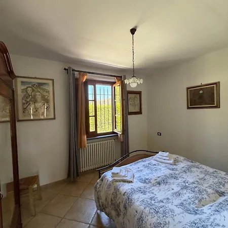 Il Chicco D'oro * Massarosa