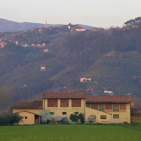Il Chicco D'oro